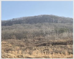  2025Ÿ��30470  ���������