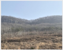  2025Ÿ��30470  ���������