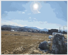  2025Ÿ��32034 ���� ��籺 ������ ������ 590      ���ð��