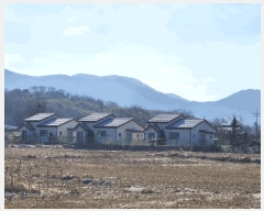  2025Ÿ��32034 ���� ��籺 ������ ������ 590      ���ð��