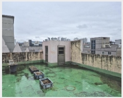  2025Ÿ��32112 ���� �ϱ� ����� 1347-2       �ٸ��ü�,�󰡰��