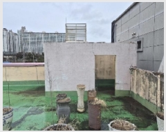  2025Ÿ��32112 ���� �ϱ� ����� 1347-2       �ٸ��ü�,�󰡰��