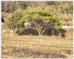  2025Ÿ��32130 ���� ���ֽ� ����� ���渮 76      ����(����)���