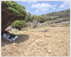  2025Ÿ��32130 ���� ���ֽ� ����� ���渮 76      ����(����)���