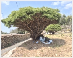  2025Ÿ��32130 ���� ���ֽ� ����� ���渮 76      ����(����)���