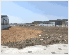  2025Ÿ��32338  ����������