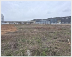  2025Ÿ��32338  ����������