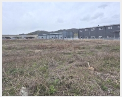  2025Ÿ��32338  ����������