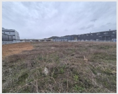  2025Ÿ��32338  ����������