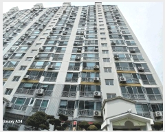  2025Ÿ��32375  ����Ʈ���