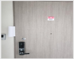  2025Ÿ��32375  ����Ʈ���