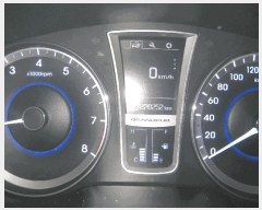  2025Ÿ��33196  �������