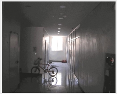  2025Ÿ��2123  �ٸ��󰡰��