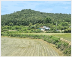  2025Ÿ��3553  ����