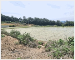  2025Ÿ��3553  ����