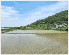  2025Ÿ��3553  ����