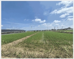  2025Ÿ��3652  ����