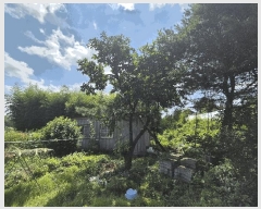  2025Ÿ��3652  ����