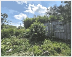  2025Ÿ��3652  ����