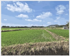  2025Ÿ��3652  ����