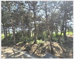  2025Ÿ��3652  ����