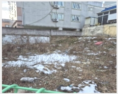  2025Ÿ��30005 ���� ���� ����� 552-1       ����(����)���