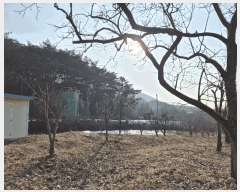  2025Ÿ��30241 ���� �ϱ� ��ȿ�� 38       ����(��1)���