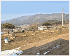  2025Ÿ��30241 ���� �ϱ� ��ȿ�� 38       ����(��1)���