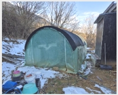  2025Ÿ��30241 ���� �ϱ� ��ȿ�� 38       ����(��1)���