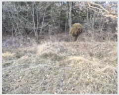  2025Ÿ��30753 ���� ��籺 ����� ������ 147      ����(�Ӿ�)���