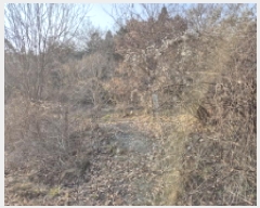  2025Ÿ��30753 ���� ��籺 ����� ������ 147      ����(�Ӿ�)���