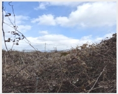  2025Ÿ��31466  ����