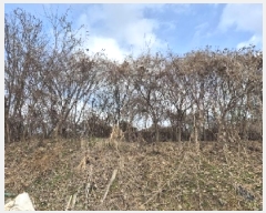  2025Ÿ��31466  ����