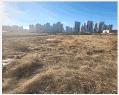  2025Ÿ��31947  ����