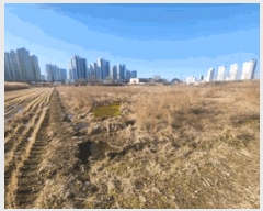  2025Ÿ��31947  ����