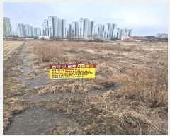  2025Ÿ��31947  ����