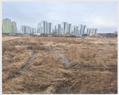  2025Ÿ��31947  ����