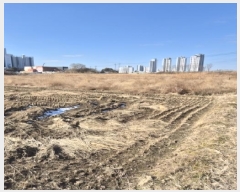  2025Ÿ��31947  ����