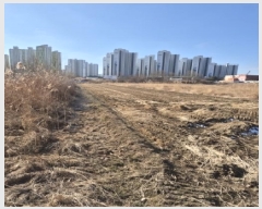  2025Ÿ��31947  ����