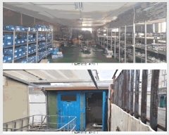  2025Ÿ��31981  â�����