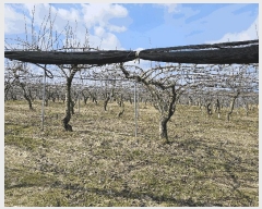  2025Ÿ��31983  ���������