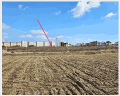  2025Ÿ��31983  ���������