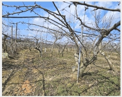  2025Ÿ��31983  ���������