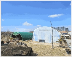  2025Ÿ��31983  ���������