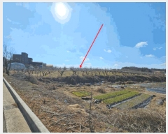  2025Ÿ��31983  ���������