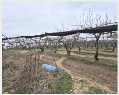  2025Ÿ��31983  ���������