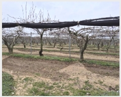  2025Ÿ��31983  ���������