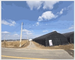  2025Ÿ��32017  ����