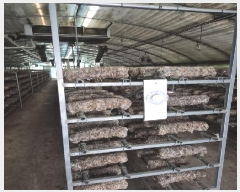  2025Ÿ��32017  ����