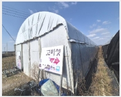  2025Ÿ��32017  ����